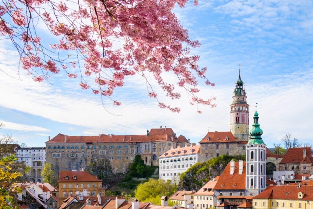 herry blossoms framing Český Krumlov’s castle and historic rooftops