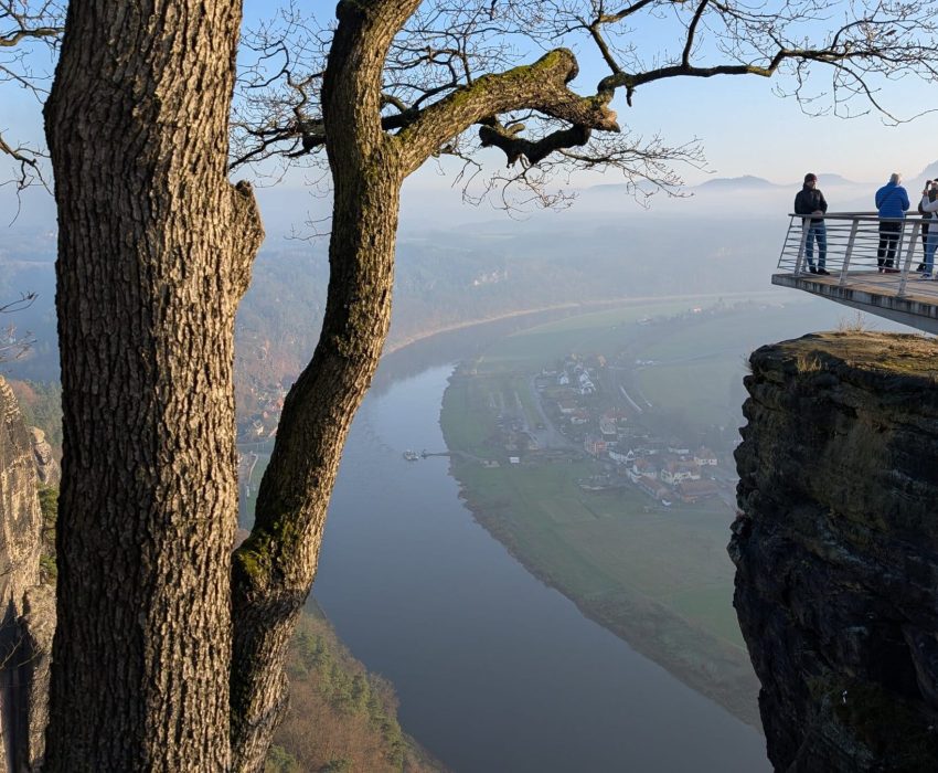 Tree-framed viewpoint above the Elbe River
